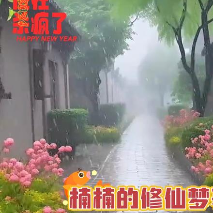 四合院:得知结局的傻柱杀疯了